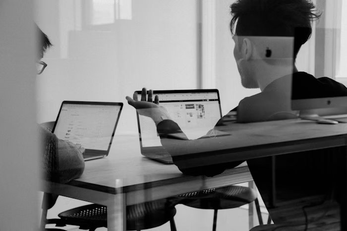IT project management